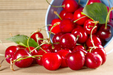 Ripe cherries in a bucket.
