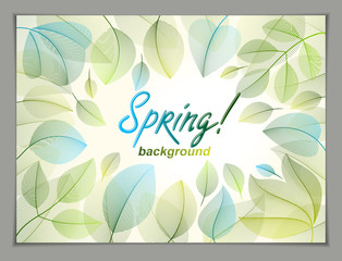 Spring leaves horizontal background, nature seasonal template for design banner, ticket, leaflet, card, poster with green and fresh floral elements. Sale, advertising poster, brochure or flyer design.