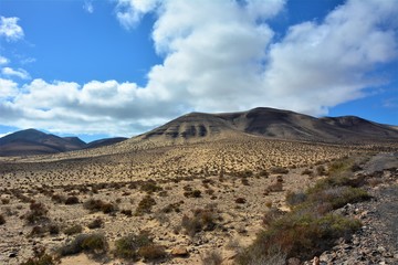 Fuerteventura 