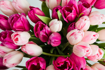  bouquet of pink tulips