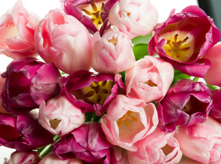  bouquet of pink tulips
