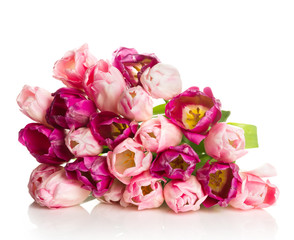 Bouquet of pink tulips isolated on white