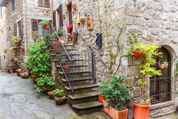 Green plants on a staircase on a backyard