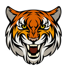 Tiger head on a white background