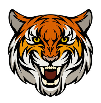 Tiger head on a white background