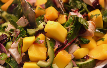 Leckerer Geflügelsalat mit Mango und Avocado