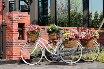 Beautiful colorful flowers in a basket of white vintage bicycle.