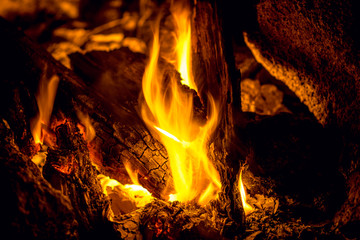 burning flame and coals