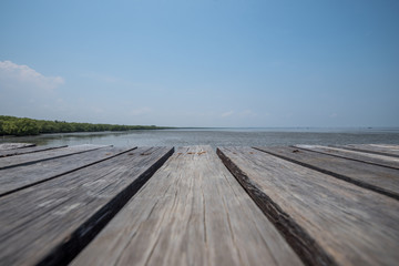 Fototapeta na wymiar wooden Bridge in the sea