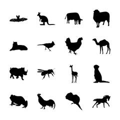 icon Animal with asian tiger, gothic, wildlife, desing and travel