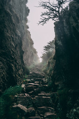 Last steps of the hike up Table Mountain, Capetown, South Africa