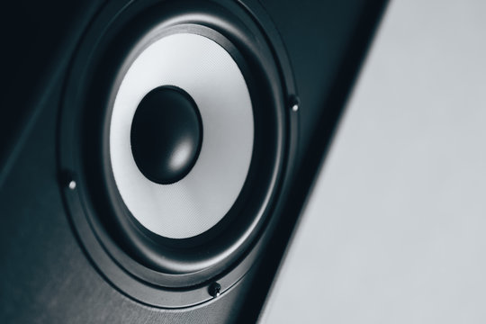 Audio speaker black and white toned