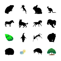 icon Animal with cold, spring, nature, large and symbol