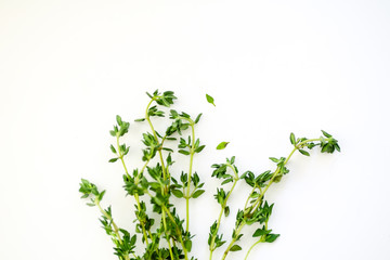 Obraz premium Bunch of fresh thyme on white background with copy space