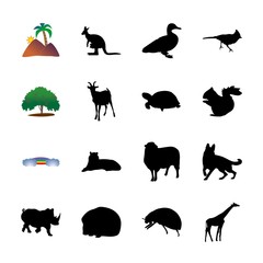 icon Animal with securty, patch, humor, kangaroo and travel