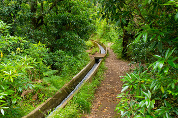 Levada da Portela, Madeira, Portugal