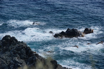 Obraz premium SONY DSC