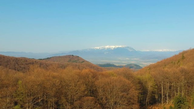 Aerial view of the springtime forest, at Poiana Brasov, Romania