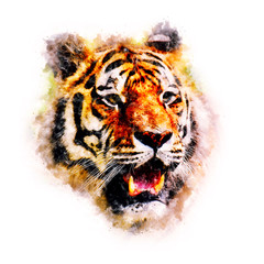Tiger Watercolor painting Art