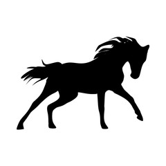 icon Animal with nature, strong, mustang, head and race