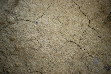 Dry cracked soil. Grey colour