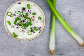 Bowl with curd decorated with spring onion and red onion - top view