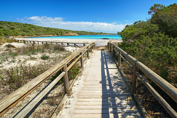 Fototapeta premium Küstenweg zum Meer