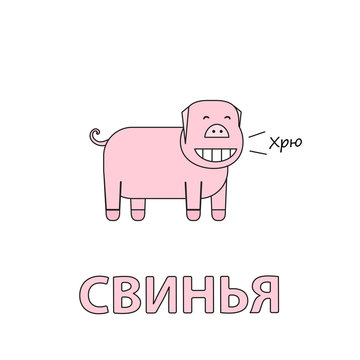 Cartoon Pig Flashcard for Children