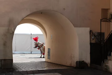 Foto op Plexiglas Oude stadspoort van Krakau met paard © WR