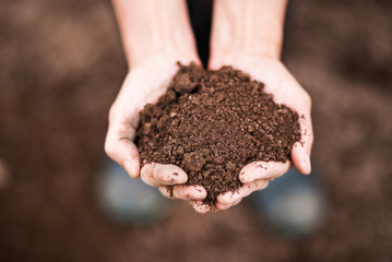 Close up image womans hands holding soil 