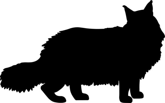 recommend clip art: Maine Coon Cat