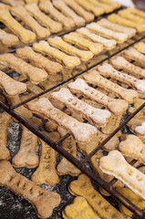 Homemade oatmeal dog treats with carrots