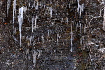 Icicles on a broken shale wall. 