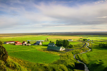 Grüne landschaft in island