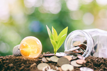 Glowing light bulb with small plant growing from soil and money coins in the glass jar