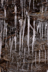 Icicles on a broken shale wall. 