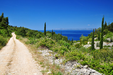 Fototapeta na wymiar Mediterranean nature landscape view of sea in Korcula island