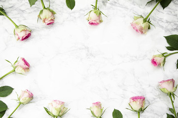 Obraz na płótnie Canvas Pink rose flowers on marble background