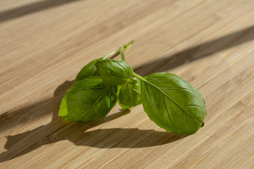 Basil leaves isolated on cutting board 2 