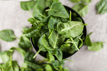 Baby spinach leaves