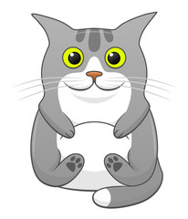 Cartoon cute sitting cat