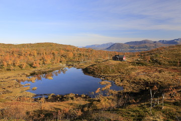 Steiri heia In Sortland Moutain Northern Norway
