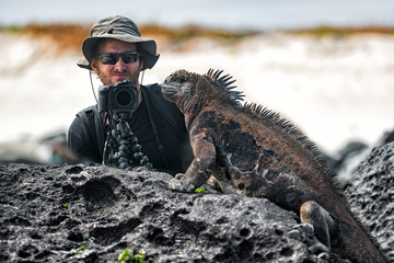 Galapagos Iguana and tourist nature wildlife photographer taking picture. Marine Iguana shaking and...