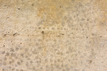 Asbestos slate texture concrete covered with lichen and moss	