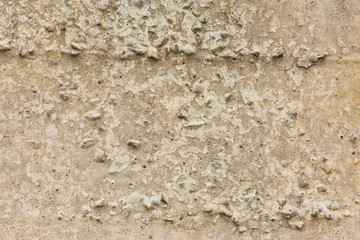 Asbestos slate texture concrete covered with lichen and moss	
