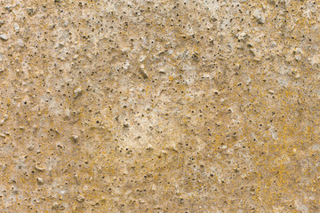 Asbestos slate texture concrete covered with lichen and moss	