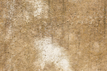 Asbestos slate texture concrete covered with lichen and moss	