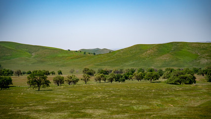 Obraz premium Landscape