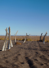 ポイント・ホープ、アラスカ
