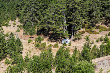 Fototapeta na wymiar lonely camping house in the middle of a spruce forest
